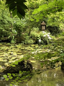 180629_大山崎山荘美術館の庭園.JPG